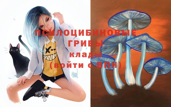 гашик Наволоки